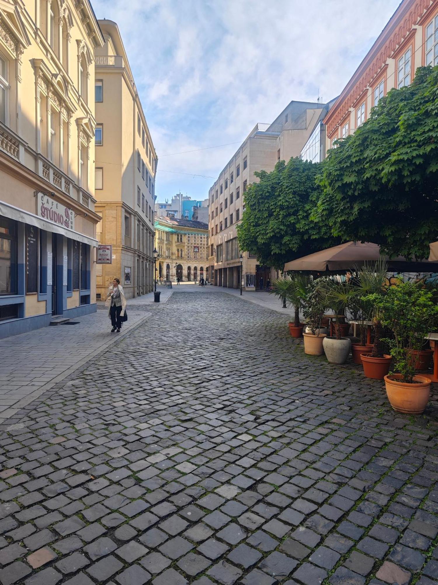 Laurinska Modern Apartment In Direct Centrum Of Bratislava, Air-Condition エクステリア 写真